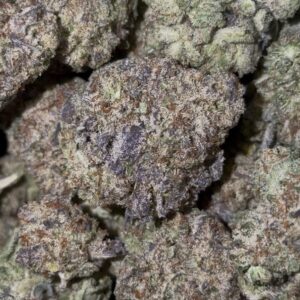 Screenshot Gelato Cake