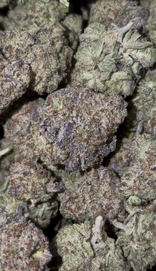 Screenshot Gelato Cake