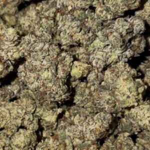 Screenshot Ghost OG