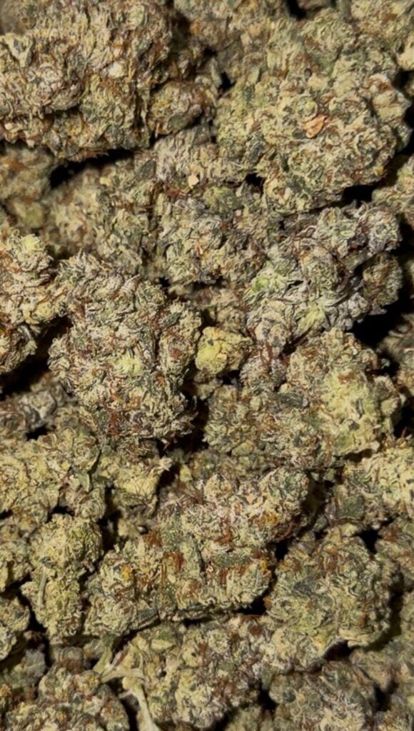 Bulk Flower - Ghost OG (224g-454g)