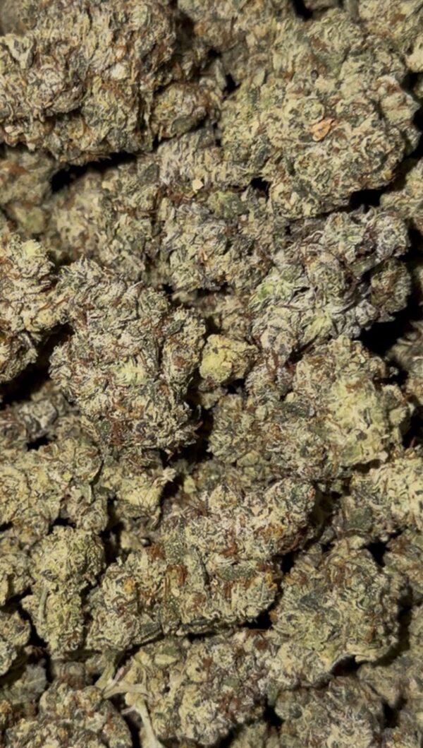 Screenshot Ghost OG