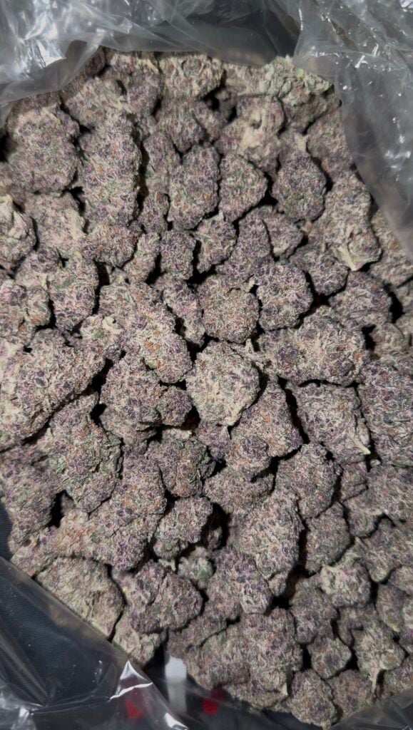 Indoor Flower - Super Buff Cherries (3.5g-28g)